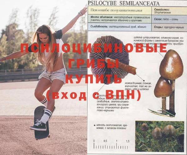 герыч Наволоки
