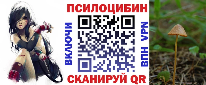 Псилоцибиновые грибы мухоморы  цены наркотик  Томилино 